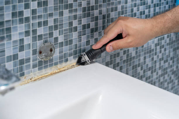 Best Local Mold Removal Service  in La Conner, WA